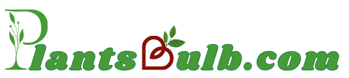 Plantsbulb.com